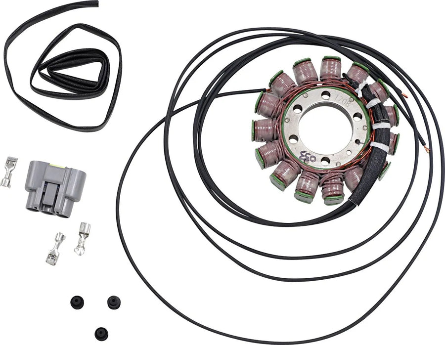 bmw s 1000 [RICK'S MOTORSPORT ELECTRIC] - estator estilo OEM
