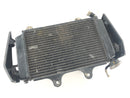 KTM Duke 125 [2011] - Cooler de água fria-3