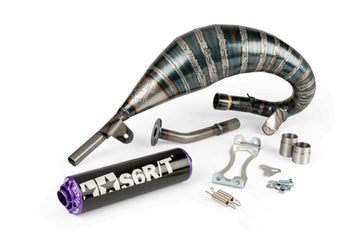 Beta RR Track 50 2T - Escape R/T 70-80 Preto / Roxo