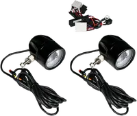 Harley-Davidson FLRT 1868 Freewheeler 114 [2022] - 4-1/2" LED-Nebelscheinwerfer – Bild 11