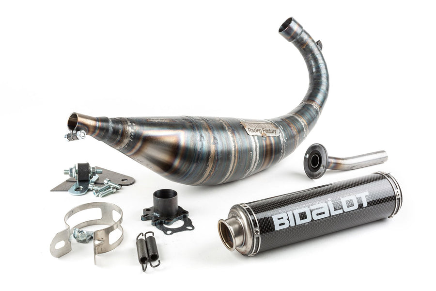 Aprilia RX Enduro 50 2T D50B0 [2007–] - Auspuff RF50WR