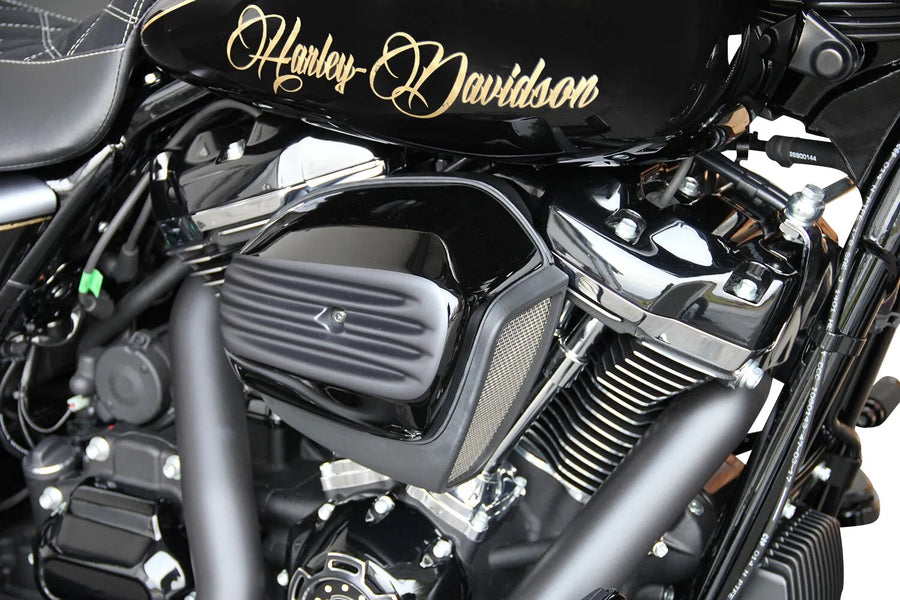 Harley Davidson flhrxs [CULT WERK] – tampa do filtro de ar “Especial”