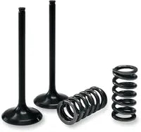 GAS GAS EC 450 [PROX] – conjunto válvula e mola