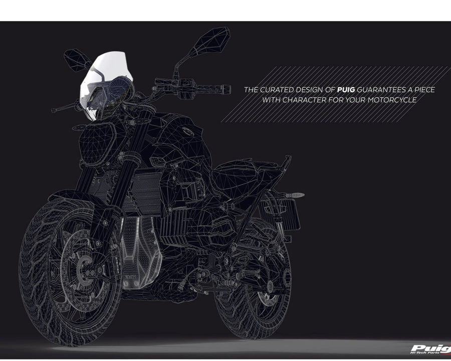 BMW R 1250 R [2025] – Nova Geração Sport – Transparente