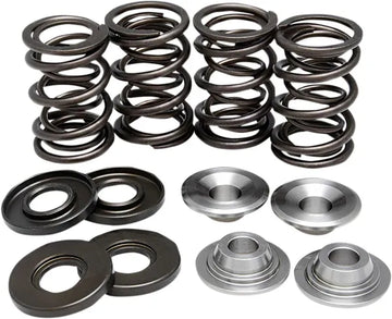 BMW R 100 CS [KIBBLEWHITE] – Kit de molas de válvula