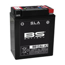 Yamaha XT 600 43F [bateria BS] - Bateria de motocicleta-1