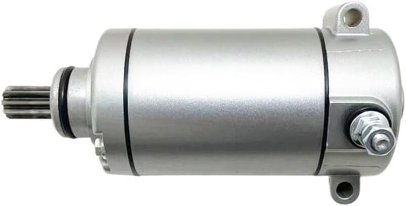 Benelli Leoncino 500 [TECNIUM] - Iniciante