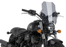 INDIAN CHIEF DARK HORSE [2021] – Daytona IV – Transparente-8
