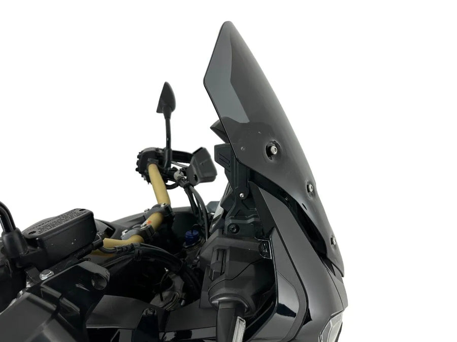 Honda CRF 1100 Africa Twin [WRS] – vista em perspectiva do para-brisa