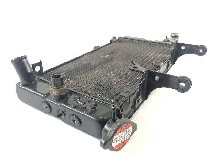 Suzuki DL 1000 V -Strom [2006] - Cooler de água fria