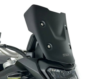 BMW F 900 GS [WRS] – Para-brisa