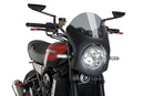 KAWASAKI Z 900 RS SE [2025] – Tela de carenagem retrô – Colorida-8