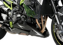 KAWASAKI Z 900 SE [2024] – Peças de reposição – Proteção do motor – Preto-4