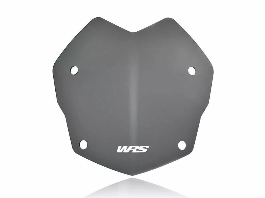 BMW R 1200 R [WRS] – pára-brisa