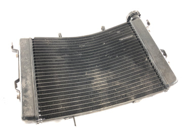 Triumph Street Triple R 675 D67LD [2008] - Cooler de água fria