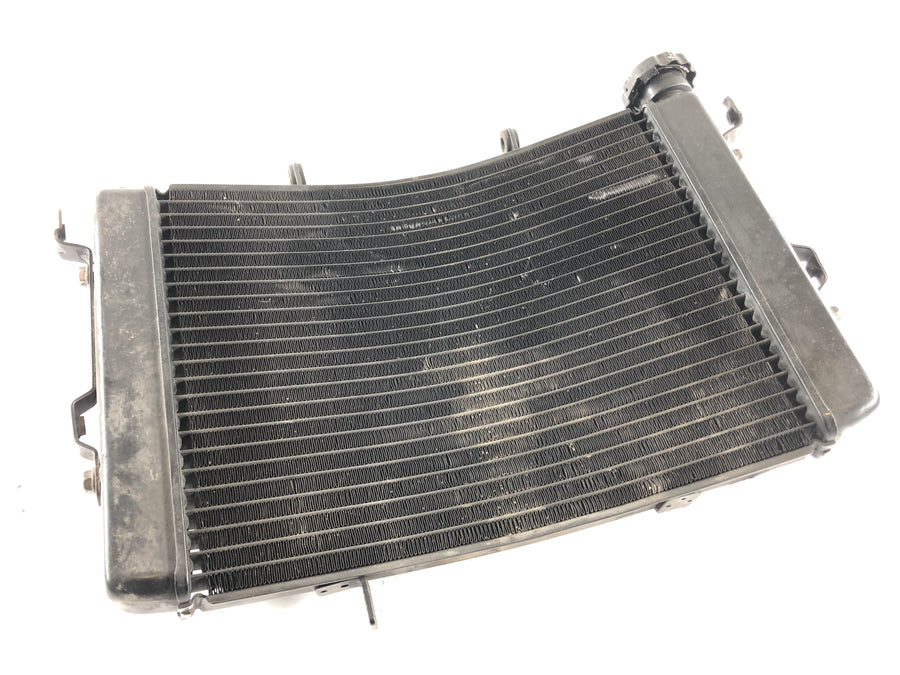 Triumph Street Triple R 675 D67LD [2008] - Cooler de água fria