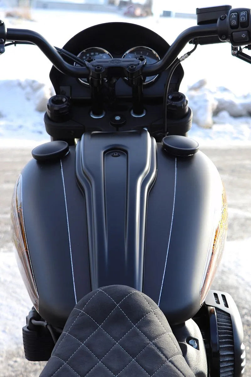 Harley-Davidson Low Rider S [CULT WERK] – Capa de painel para Harley