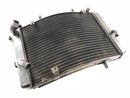 Triumph Street Triple R 675 D67LD [2008] - Cooler de água fria-4