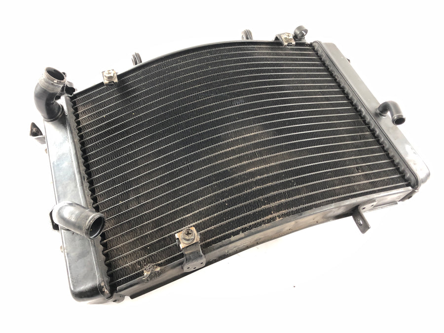Triumph Street Triple R 675 D67LD [2008] - Cooler de água fria