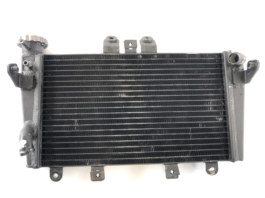 Triumph Speed ​​Triple 1050 515nj [2006] - Cooler de água fria