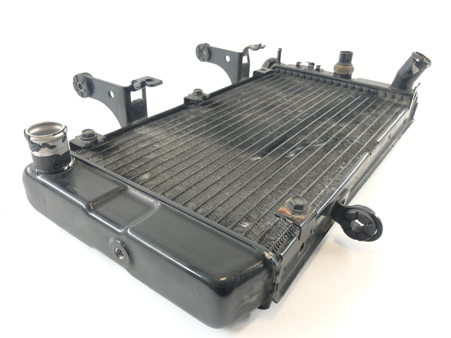 Suzuki DL 1000 V -Strom [2006] - Cooler de água fria