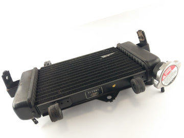 Yamaha YZF 125 RE06 [2011] - Cooler de água fria - 0