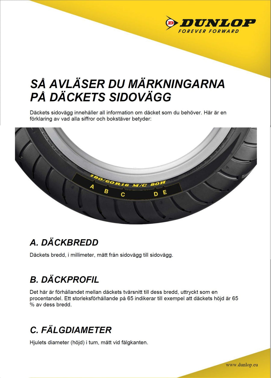 DUCATI 800 SUPERSPORT SS [2003-2006] - Pastilhas de freio duplas sinterizadas
