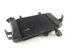 Yamaha YZF 125 RE06 [2011] - Cooler de água fria-4