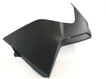 BMW K 1300 R [2010] - Disfarce certo