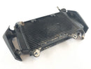 KTM Duke 125 [2011] - Cooler de água fria-2