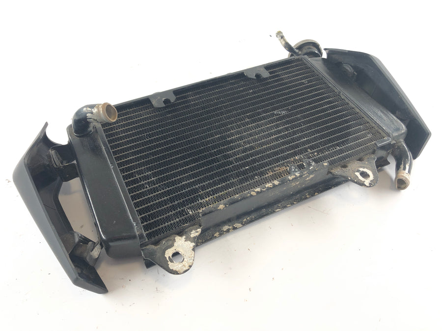 KTM Duke 125 [2011] - Cooler de água fria