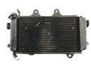 KTM Duke 390 [2014] - Cooler de resfriador de água-5