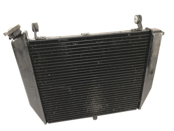 Yamaha YZF R1 RN09 [2002] - Radiador Water Cooler Sistema de refrigeração Radiador