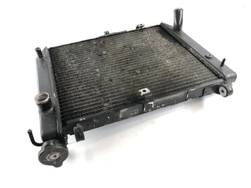 Yamaha YZF R1 RN04 [2000] - Cooler de resfriador de água - 0