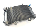 KTM Duke 690 A3 [2012] - Cooler de água fria-5