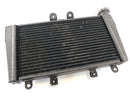 Triumph Speed ​​Triple 1050 515nj [2006] - Cooler de água fria-1