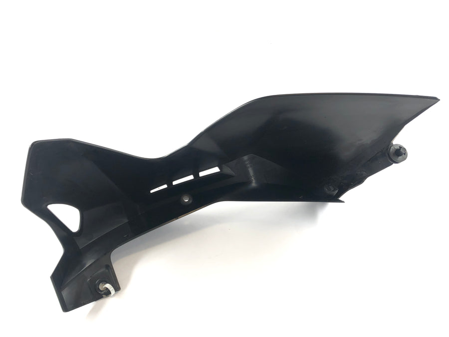 BMW K 1300 R [2010] - Disfarce certo