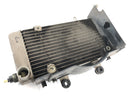 HONDA VFR 800 FI RC46 [2000] - Cooler de água fria à esquerda-4