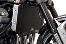 Kawasaki Z900RS SE [2023–2025] - Evotech Kühlerschutz