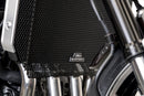 Kawasaki Z900RS Performance [2021–2022] - Kühlerprotektor