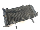 Suzuki DL 1000 V -Strom [2006] - Cooler de água fria-4