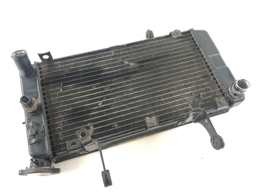 Suzuki DL 1000 V -Strom [2006] - Cooler de água fria