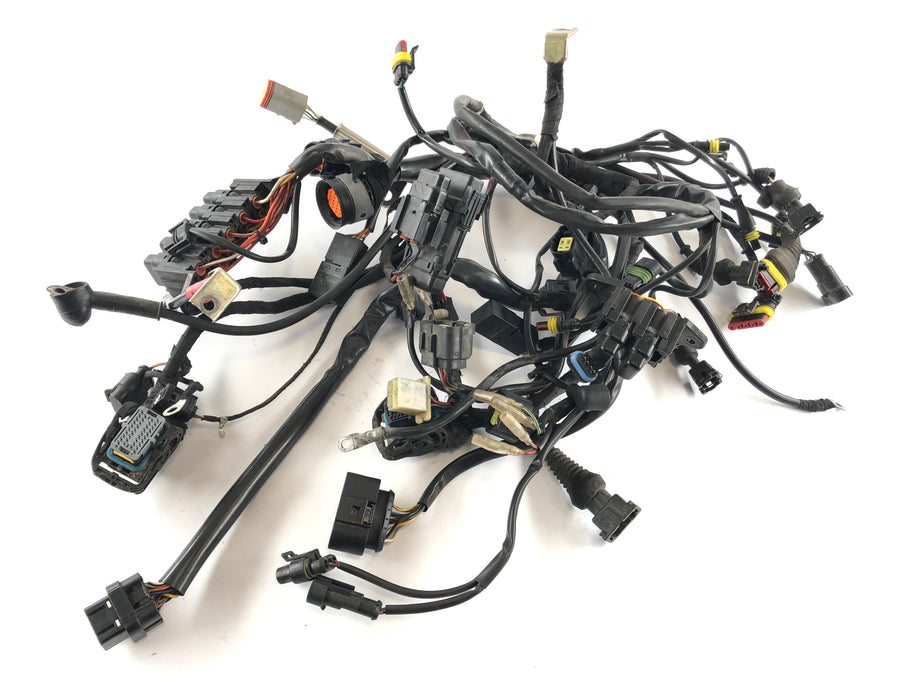 Ducati Multistrada 1000 DS [2003] - Firação de cabos principais Tree Cable Tree