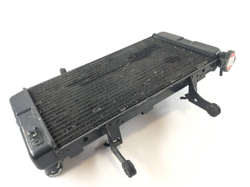 Suzuki DL 1000 V -Strom [2006] - Cooler de água fria
