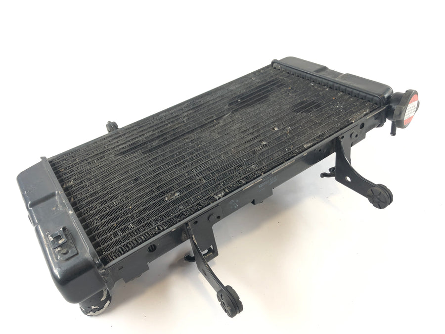 Suzuki DL 1000 V -Strom [2006] - Cooler de água fria
