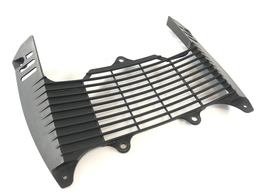 Yamaha XT 660 DM01 [2005] - revestimento de refrigerador de revestimento
