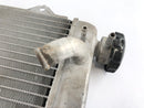 Yamaha WR 125 R DE07 [2016] - Cooler de água fria-5