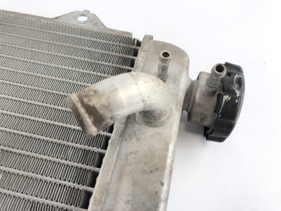 Yamaha WR 125 R DE07 [2016] - Cooler de água fria