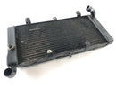 Honda St 1100 SC26 Pan European [1990] - Cooler de água-1