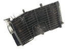 Honda CBR 900 RR SC28 [1993] - Cooler de água fria-3